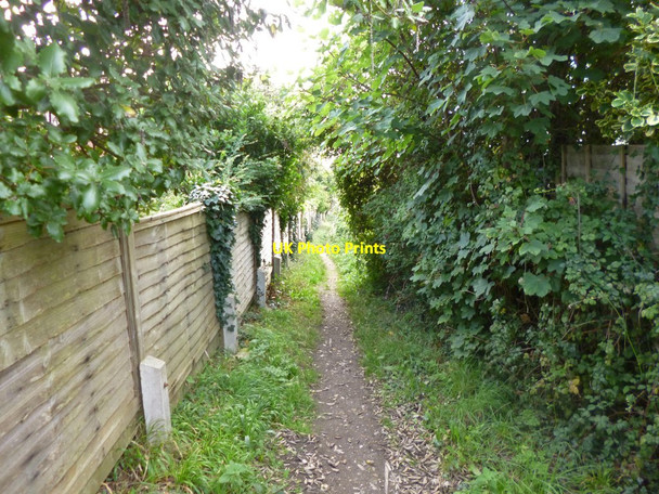 Photo 6"x4" Bridport, footpath Bridport c2013