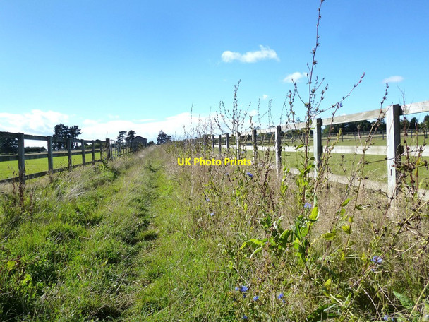 Photo 6"x4" The Oxfordshire Way near Assendon Fawley Bottom c2013