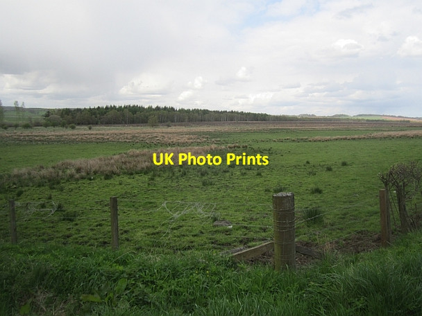 Photo 6"x4" Wetland pasture Findo Gask c2013