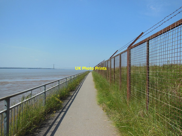 Photo 6"x4" The Trans Pennine Trail towards Hessle Hessle\/TA0326 c2013