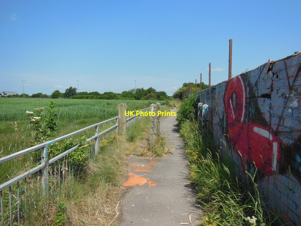Photo 6"x4" The Trans Pennine Trail towards Hessle Hessle\/TA0326 c2013