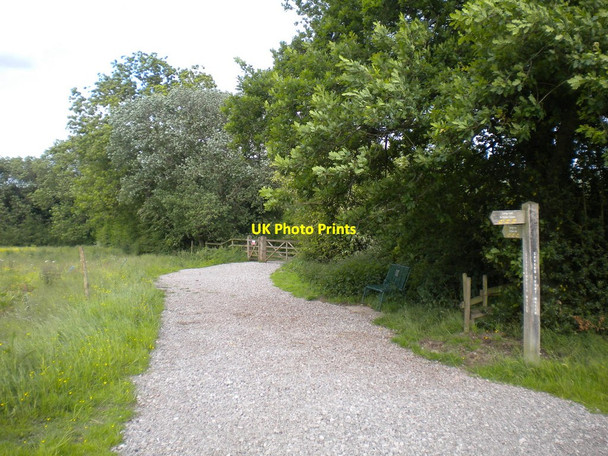 Photo 6"x4" Path to Tittesworth Reservoir dam Leek\/SJ9856 c2013