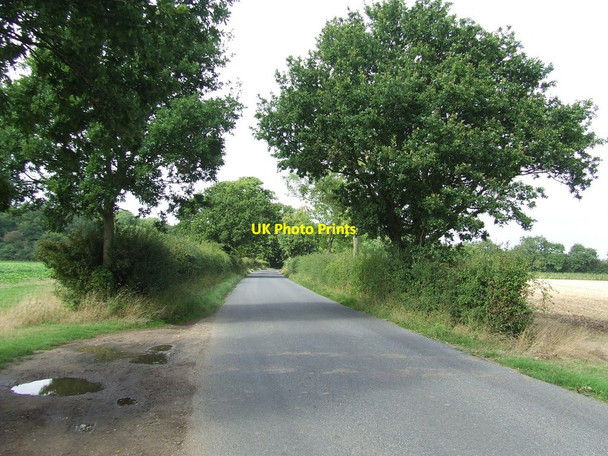 Photo 6"x4" Sandy Lane Charsfield c2013 P1