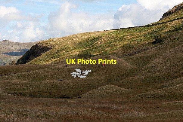 Photo 6"x4" National Trust Logo on Seatoller Fell Seathwaite\/NY2312 c2013