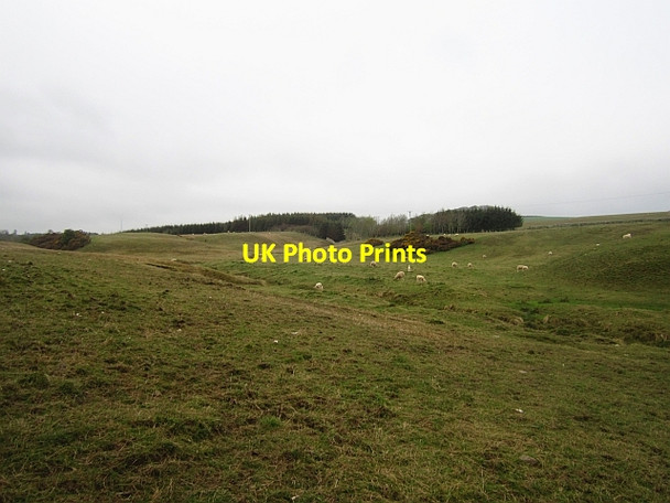 Photo 6"x4" Wood Burn Prieston\/NT5228 c2013