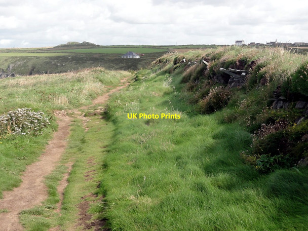 Photo 6"x4" Coastal Path and Field Wall Rhosson c2012