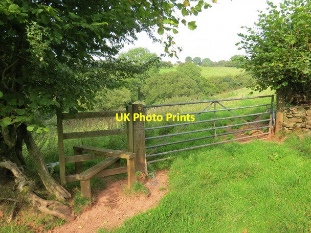 Photo 6"x4" Sticil \/ Stile Talsarn\/SN7726 c2013