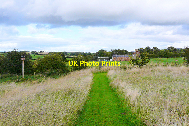 Photo 6"x4" Public footpath to Low Cotehill Cotehill\/NY4650 c2013