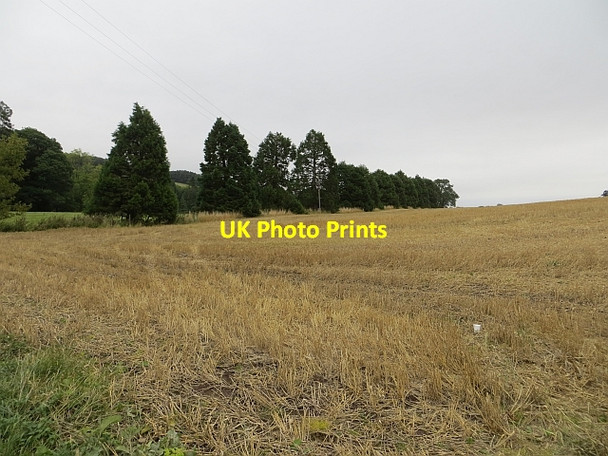 Photo 6"x4" Stubble, Easter Balgarvie Cupar c2013