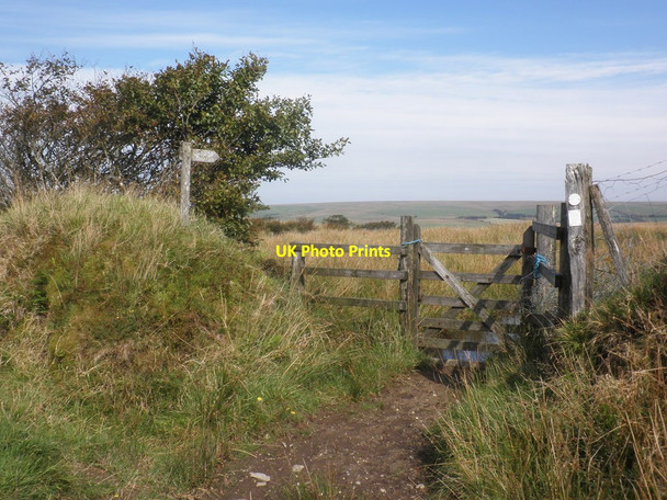 Photo 6"x4" Gate and footpath, on Bray Common Challacombe\/SS6940 c2013