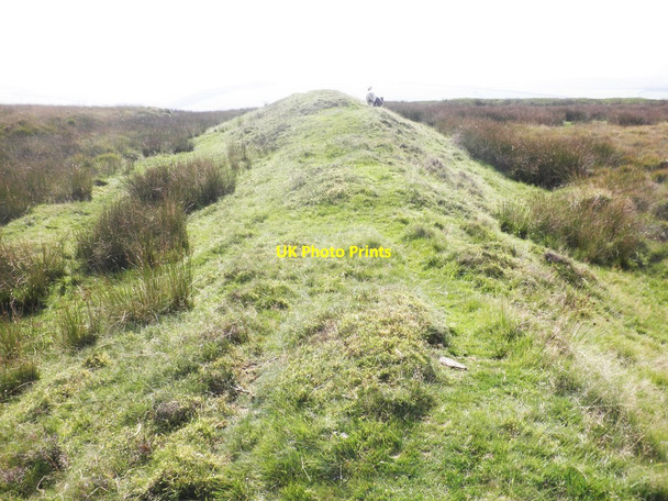 Photo 6"x4" East side of Shoulsbury Castle Challacombe\/SS6940 c2013