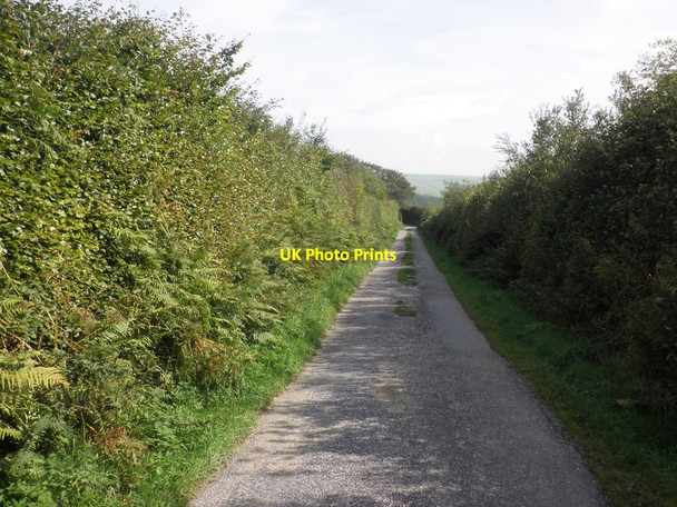 Photo 6"x4" Rockley Lane Challacombe\/SS6940 c2013