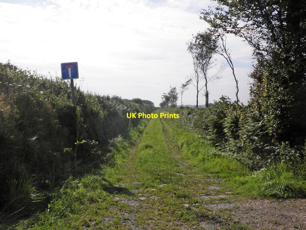 Photo 6"x4" Green Lane on Fullaford Down Lydcott\/SS6936 c2013