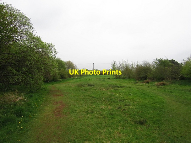 Photo 6"x4" Bowden Common Bowden\/NT5530 c2013