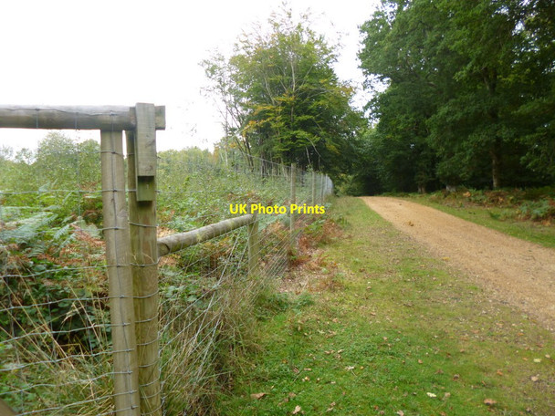 Photo 6"x4" Burley Outer Rails Inclosure, deer-proof fencing Burley Lawn c2013