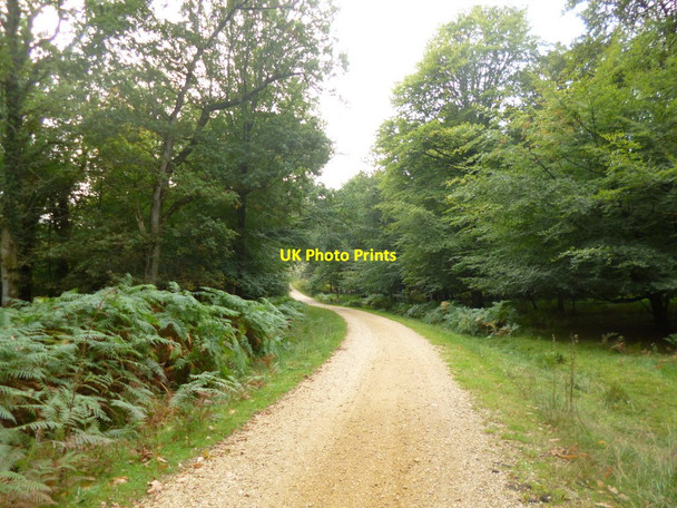 Photo 6"x4" Burley Outer Rails Inclosure, cycle route Burley Lawn c2013