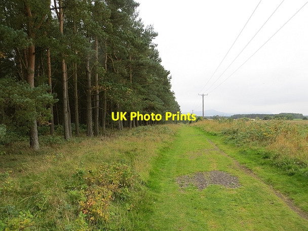Photo 6"x4" The Moor Springfield\/NO3411 c2013