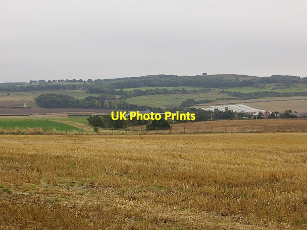 Photo 6"x4" Stubble, Ballomill Pitlessie c2013