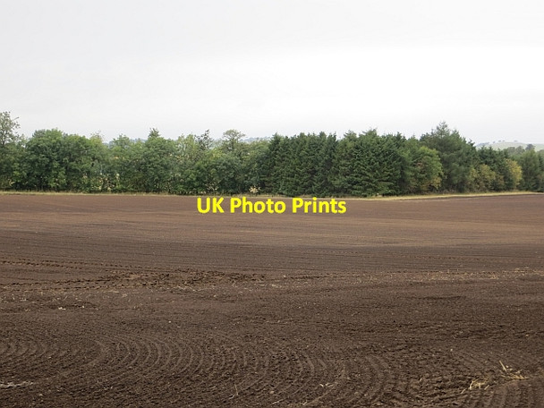 Photo 6"x4" A newly planted field Bow of Fife c2013