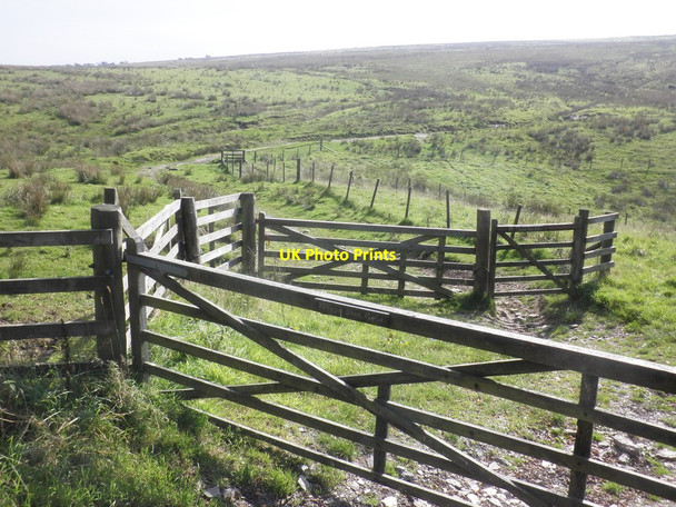 Photo 6"x4" The Tarka trail crosses Roosthitchen Challacombe\/SS6940 c2013