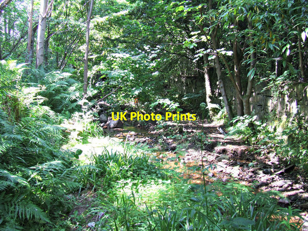 Photo 6"x4" The Glen Burn Port Glasgow c2013