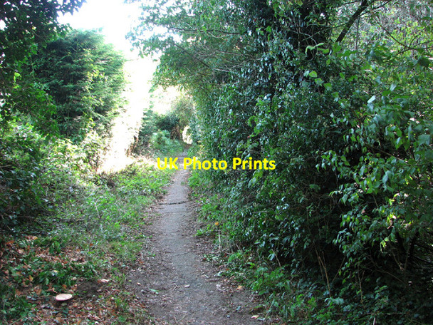 Photo 6"x4" Path from St Mary's church to Star House Hellington c2013