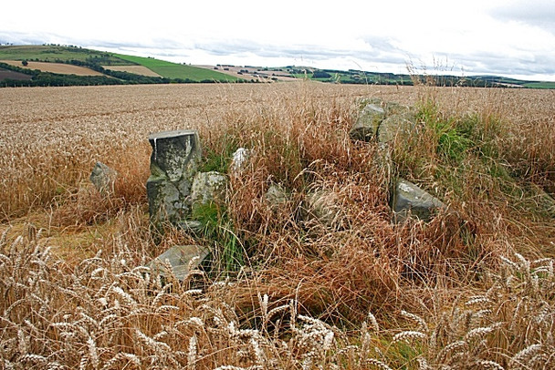 Photo 6"x4" Raich Stone Circle Forgue\/NJ6145 c2008 P1