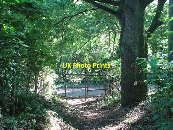 Photo 6"x4" Footpath meets farm track Hellington c2013
