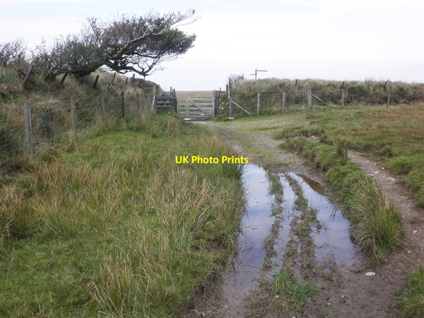 Photo 6"x4" Woodbarrow Gate Swincombe c2013