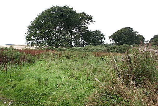 Photo 6"x4" Waste Ground Forgue\/NJ6145 c2008