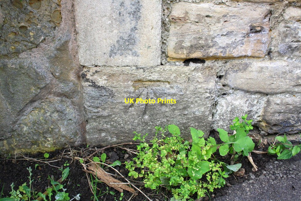 Photo 6"x4" Benchmark on #33 New Buildings Frome c2013