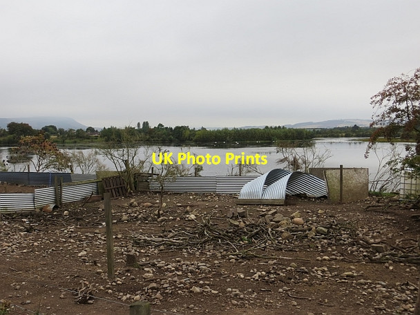 Photo 6"x4" Pig accommodation, Angle Park Ladybank\/NO3009 c2013