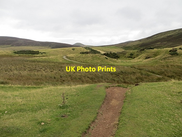 Photo 6"x4" Green Cleugh path Malleny Mills c2013