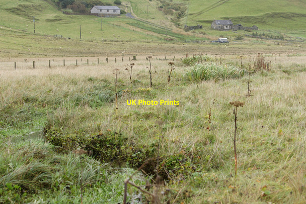 Photo 6"x4" Norwick Meadows Kirkaton c2013