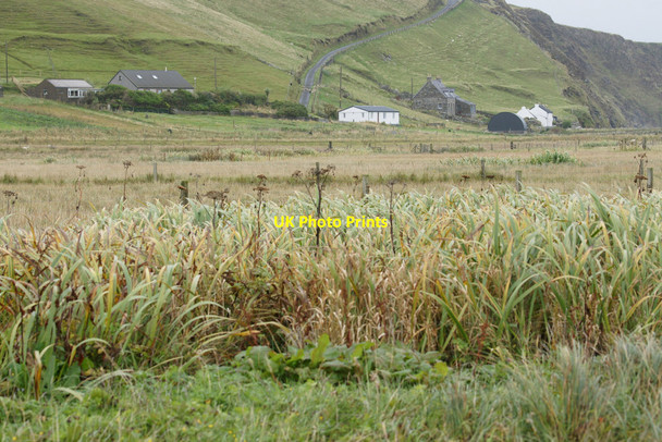 Photo 6"x4" Norwick Meadows Kirkaton c2013 P1