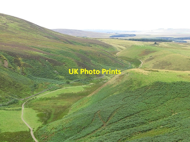 Photo 6"x4" Green Cleugh Malleny Mills c2013