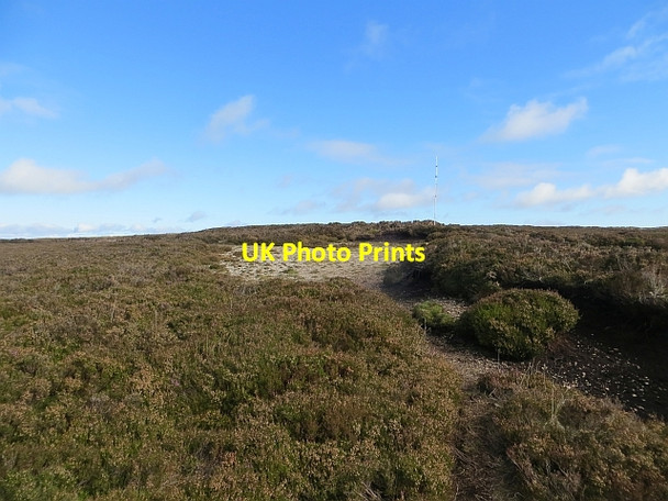 Photo 6"x4" Summit of Black Hill Malleny Mills c2013