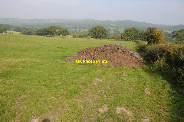 Photo 6"x4" Farmland near Bwlch-y-Ffridd Cwm\/SO0595 c2013