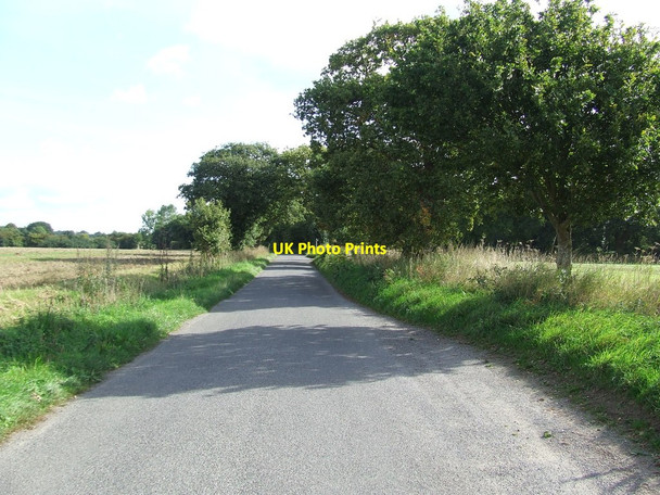 Photo 6"x4" Bylam Lane Lower Holbrook c2013