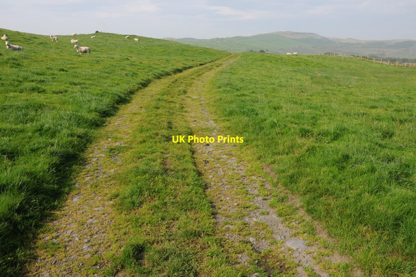 Photo 6"x4" Track and bridleway near Llyn Mawr Maesypandy c2013