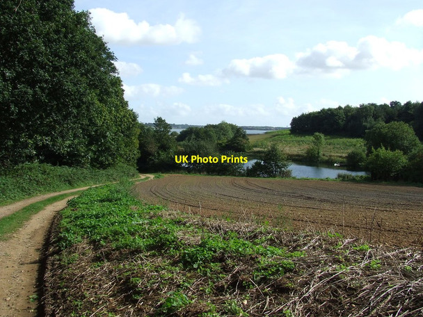 Photo 6"x4" Footpath And Reservoir Chelmondiston c2013