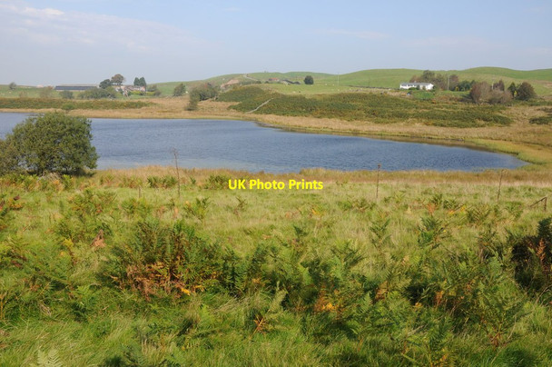 Photo 6"x4" Llyn Mawr viewed from the south-west Maesypandy c2013