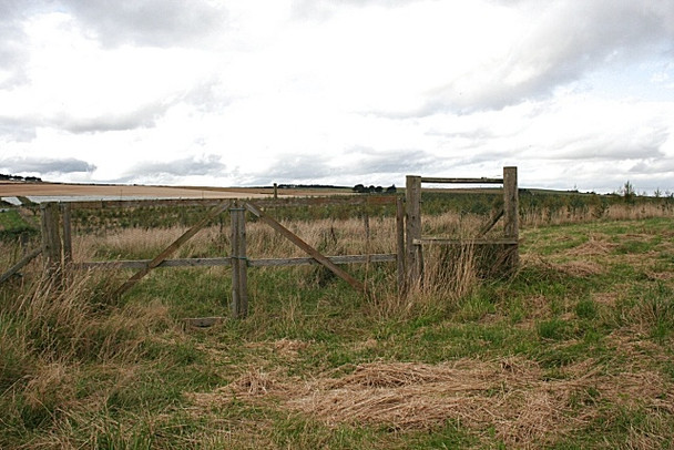 Photo 6"x4" Deer Fence and Gate Gariochsford c2008