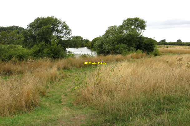 Photo 6"x4" Footpath by the River Thames West End\/SP4204 c2013