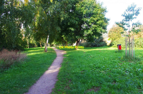 Photo 6"x4" Path through the trees, Spennells, Kidderminster Kidderminster c2013