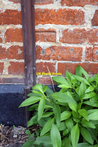 Photo 6"x4" Benchmark on The Bell Grove\/SU4090 c2013