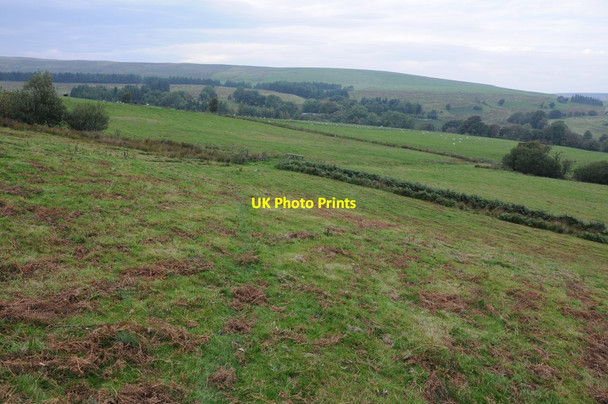 Photo 6"x4" View north-west from Mynydd Cerrigllwydion Pant\/SJ0500 c2013