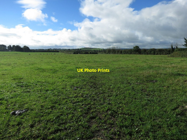 Photo 6"x4" Green Irish grass Monaster c2013