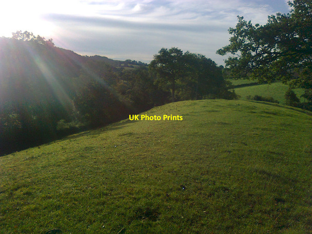 Photo 6"x4" Hope Sollars Sollers Hope c2013