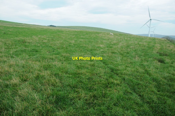 Photo 6"x4" Grassland beside Mynydd Clogau windfarm Pant\/SJ0500 c2013